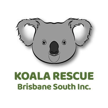 24/7 Koala Rescue for Brisbane South